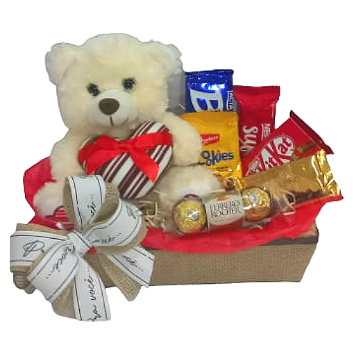 Kit Urso Pelcia e Chocolates