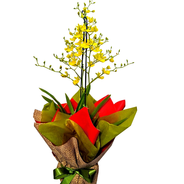 Orqu�dea Chuva de Ouro
