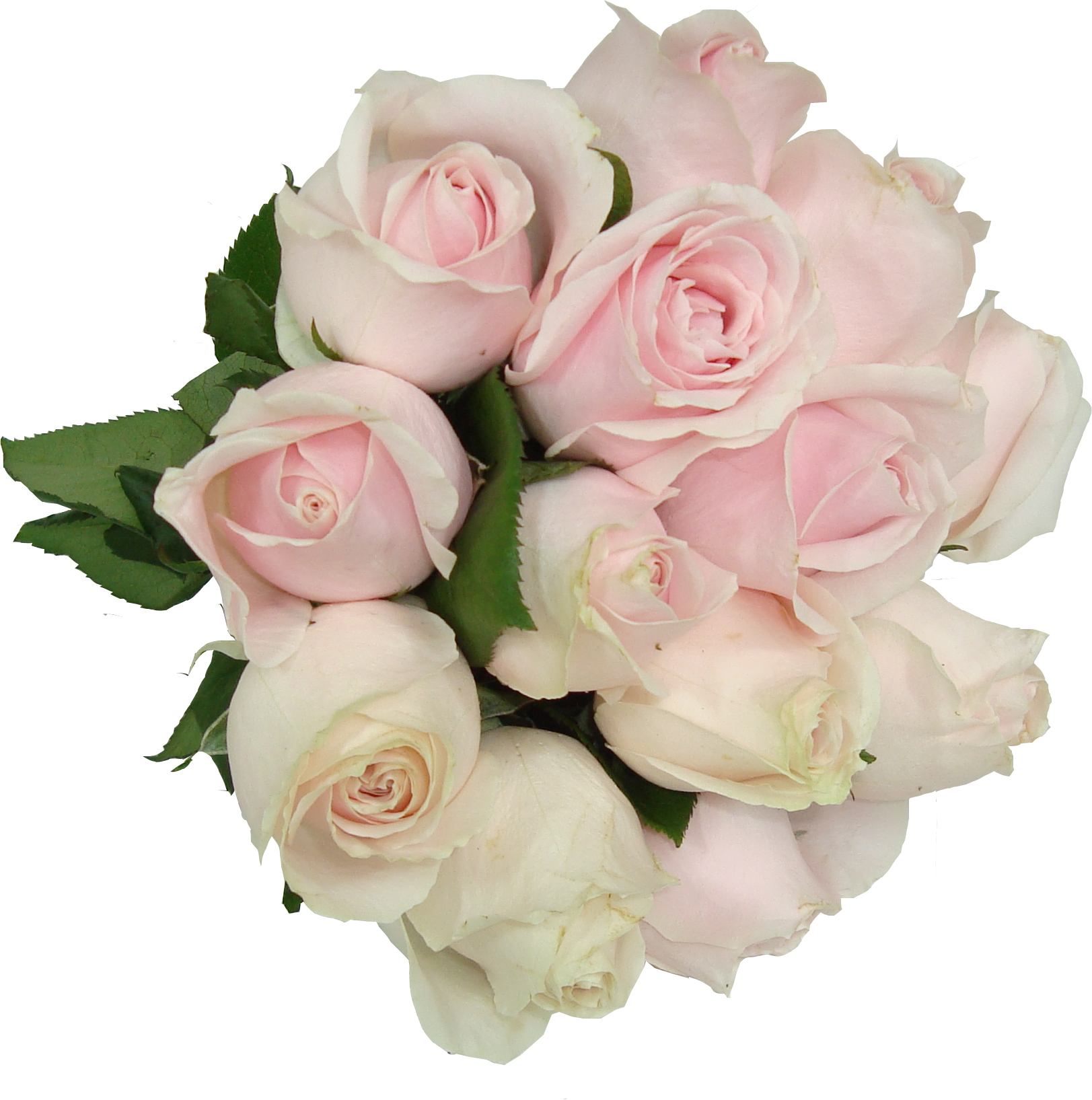 Buqu� com 15 Rosa em Tons Rosados